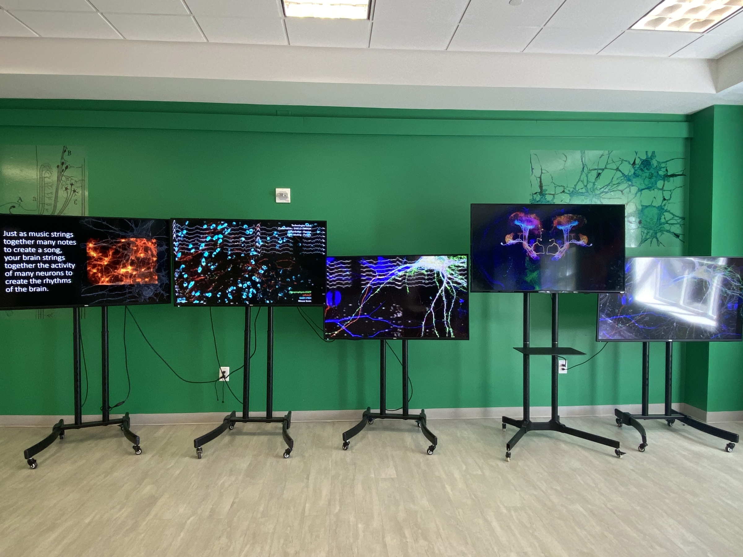 Five video monitors on tall black legs arrayed against a green wall