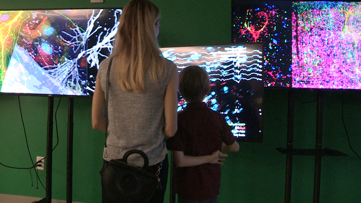 A woman and a child stand with their backs to the camera, engrossed in the images on the monitors before them