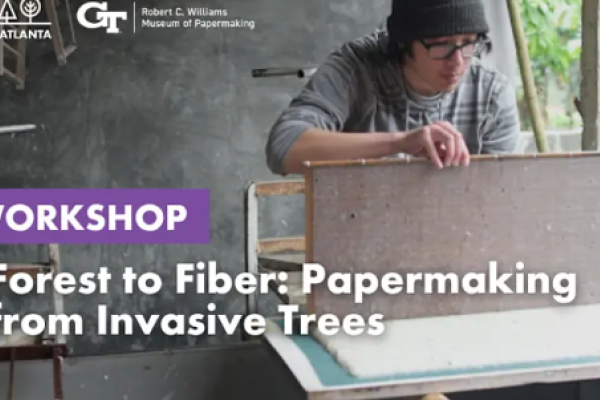 forest-to-fiber