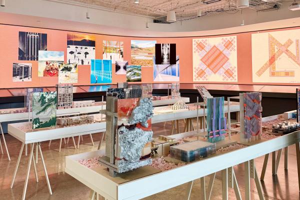 Exhibitionist Storage