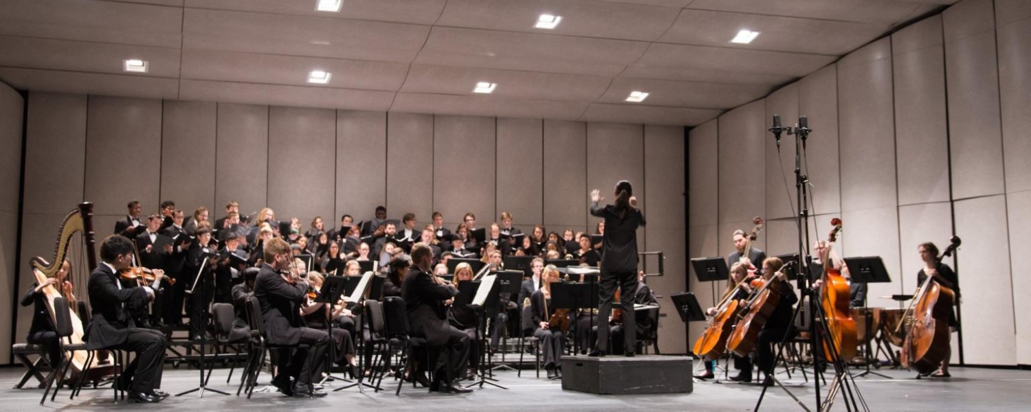 A conductor stands with her back to the camera, facing an orchestra, her arms raised and a baton in one hand