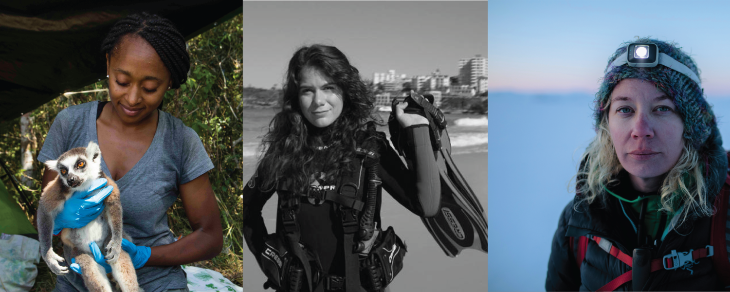 A tryptich of photos, right to left: a woman holding a lemur; a woman in scuba diving gear; a woman in the Arctic