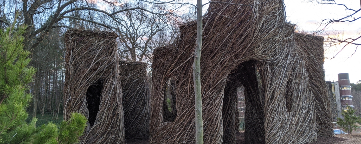 room-like structures constructed from tree branches