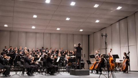 A conductor stands with her back to the camera, facing an orchestra, her arms raised and a baton in one hand