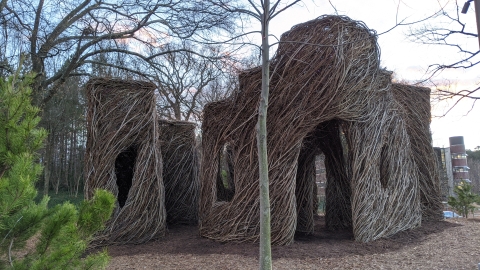 room-like structures constructed from tree branches