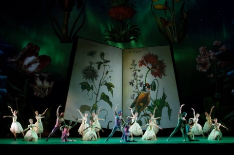 Atlanta Ballet during a performance of 'The Nutcracker.'