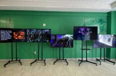 Five monitors on tall stands arranged in front of a green wall. Each monitor shows different graphics related to neural activity.