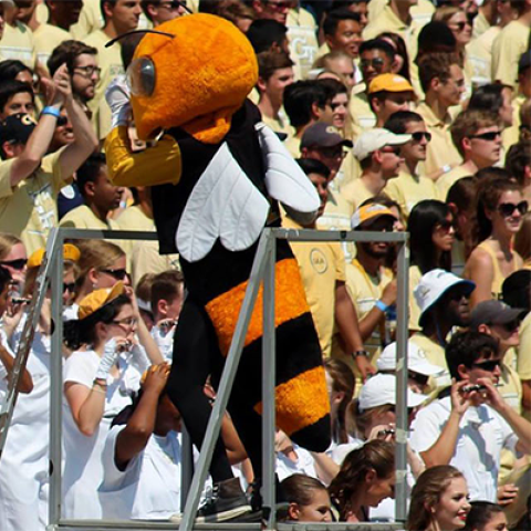 A large group of musicians wearing a range of yellow and white clothes are directed by a person in costume as a yellow jacket